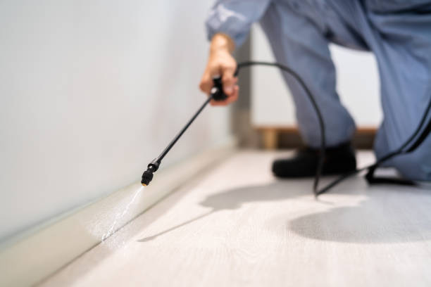 Professional exterminator conducting IPM assessment in Emporia